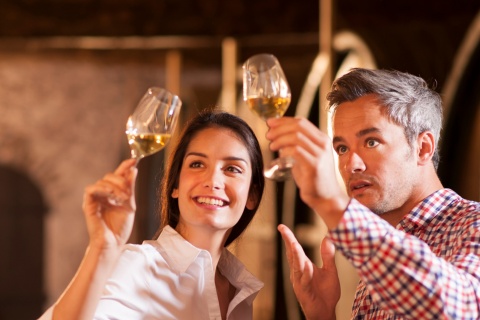 Turistas degustando vinho na adega