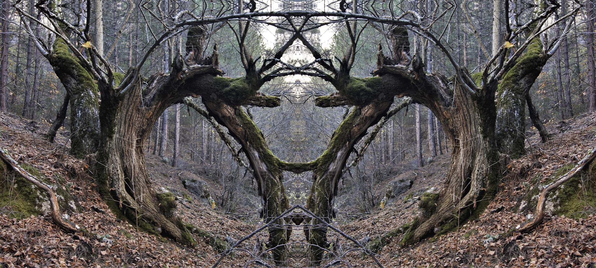 Landscape surrounding Beteta (Cuenca, Castilla-La Mancha)