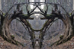 Paisaje del entorno de Beteta (Cuenca, Castilla-La Mancha)