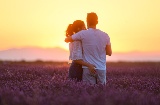 Casal nos campos de lavanda de Brihuega, em Guadalajara