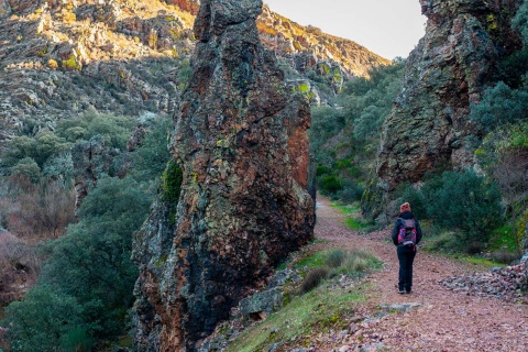 Senderista en Parque Nacional de Cabañeros