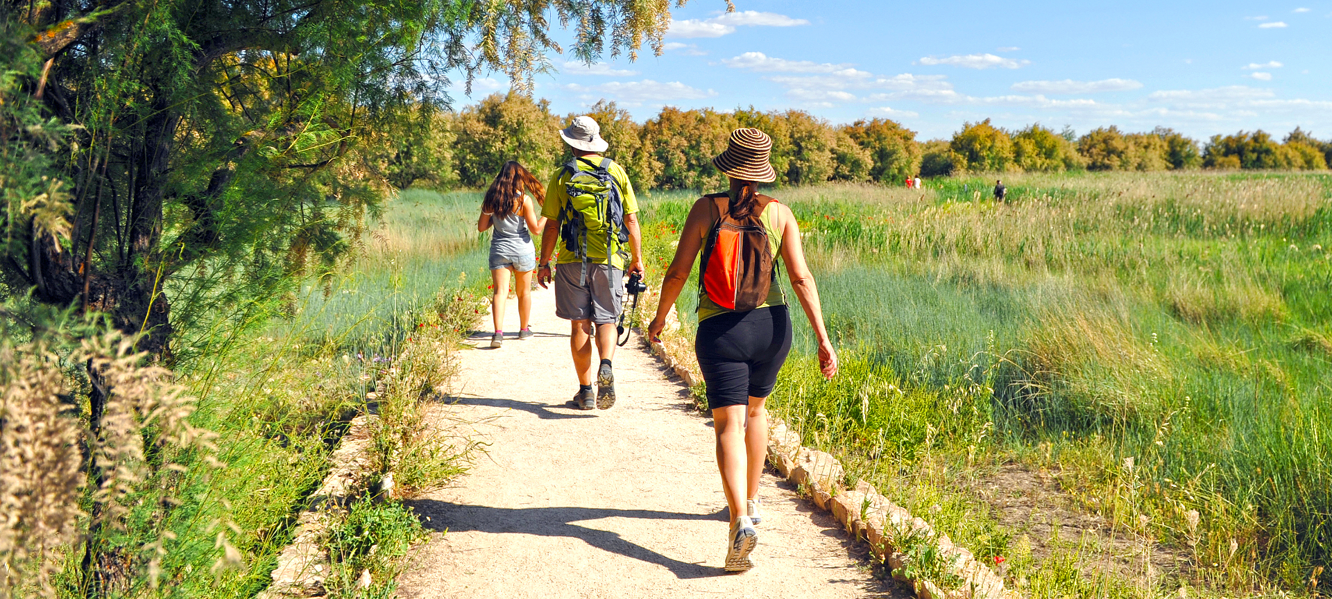 Turisti nel Parco Nazionale delle Tablas de Daimiel a Ciudad Real, in Castiglia-La Mancia Turisti nel Parco Nazionale delle Tablas de Daimiel a Ciudad Real, in Castiglia-La Mancia