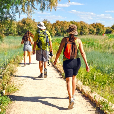 Touristen im Nationalpark Tablas de Daimiel in Ciudad Real, Kastilien-La Mancha