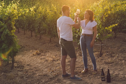 Tourists in the vineyards of the Almansa Wine Route