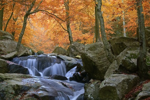 Cascades dans le parc naturel de Montseny à Barcelone, Catalogne