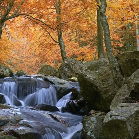カタルーニャ州バルセロナ県のモンセーニュ自然公園の滝