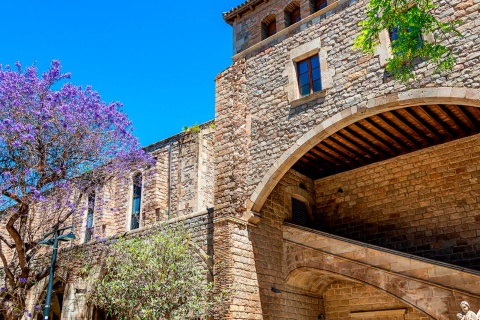 Former hospital of Santa Creu. Barcelona.