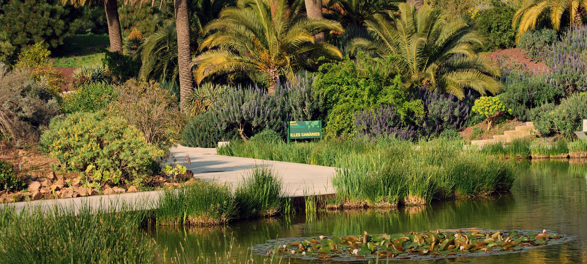 Jardim Botânico de Barcelona Jardim Botânico de Barcelona
