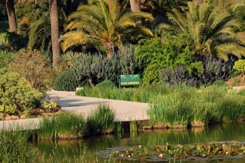 バルセロナの植物園