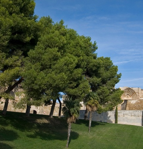 Ancienne cathédrale de Lérida (Seu Vella)