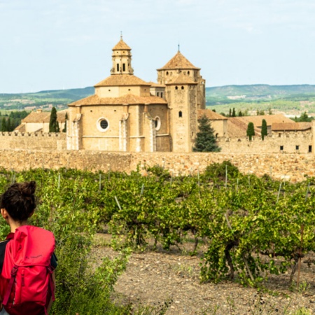 Klasztor w Poblet. Tarragona