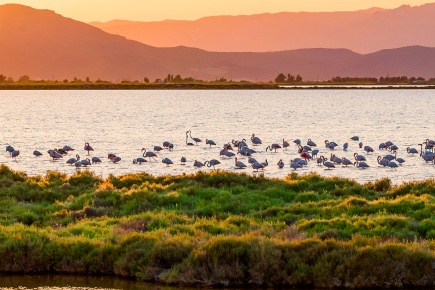 Parc naturel du delta de l'Èbre. Tarragone