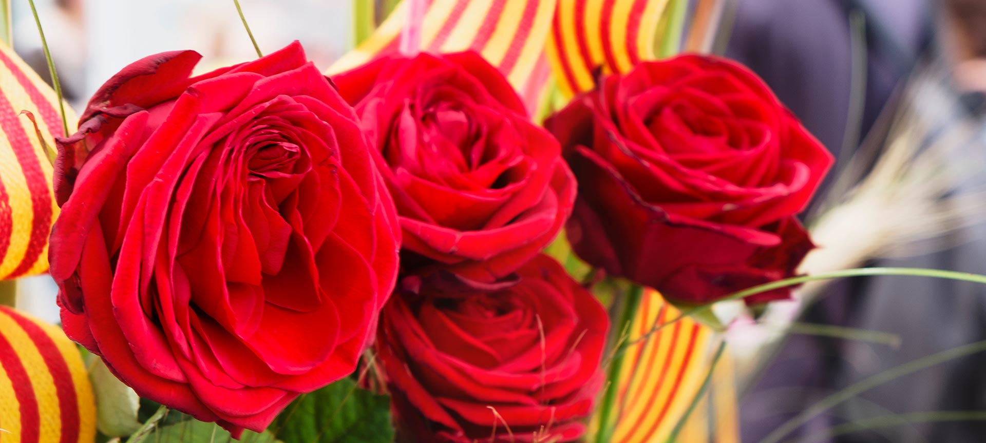 How Is St George S Day Celebrated In Barcelona Spain Info In English