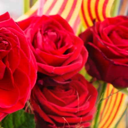 Bouquet de roses à l’occasion de la fête de Sant Jordi Barcelone