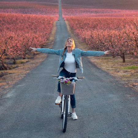 Turysta na rowerze przemierza pola kwitnącej wiśni w Lleida, Katalonia