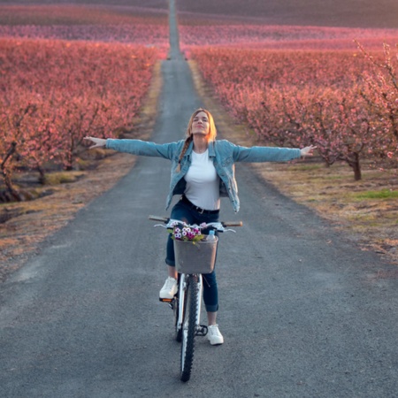 Turista in bicicletta che attraversa i campi di ciliegi in fiore a Lleida, Catalogna