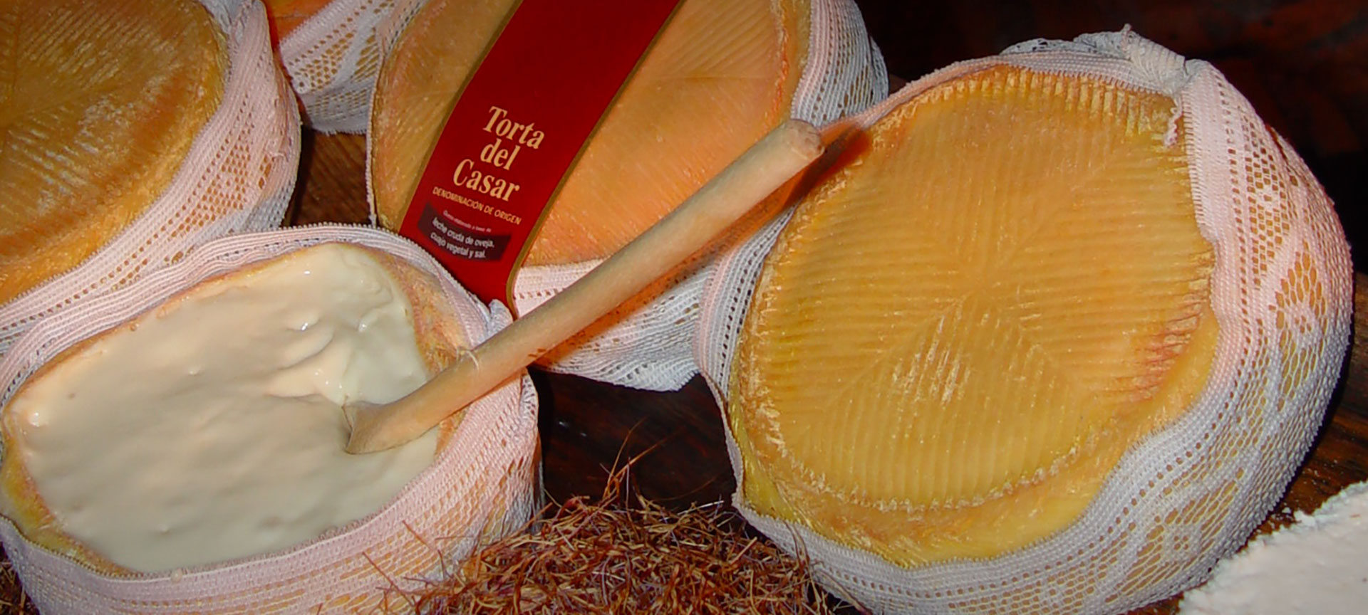 Torta del Casar Käse