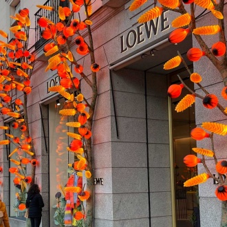 Rue Serrano à Madrid