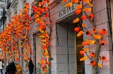 Rue Serrano à Madrid
