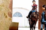 Horse riding tourism in Spain