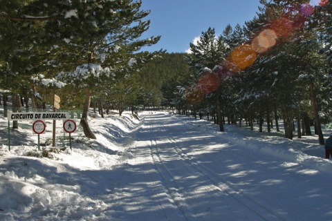 Station de ski du col de la Ragua (ski de fond)