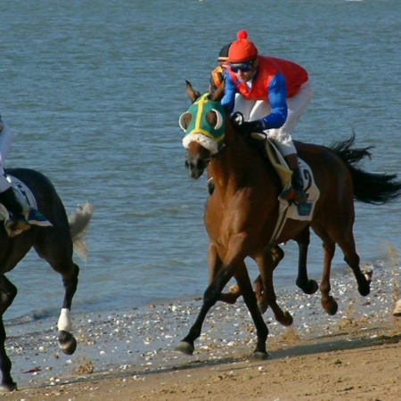 Corridas de cavalos na praia