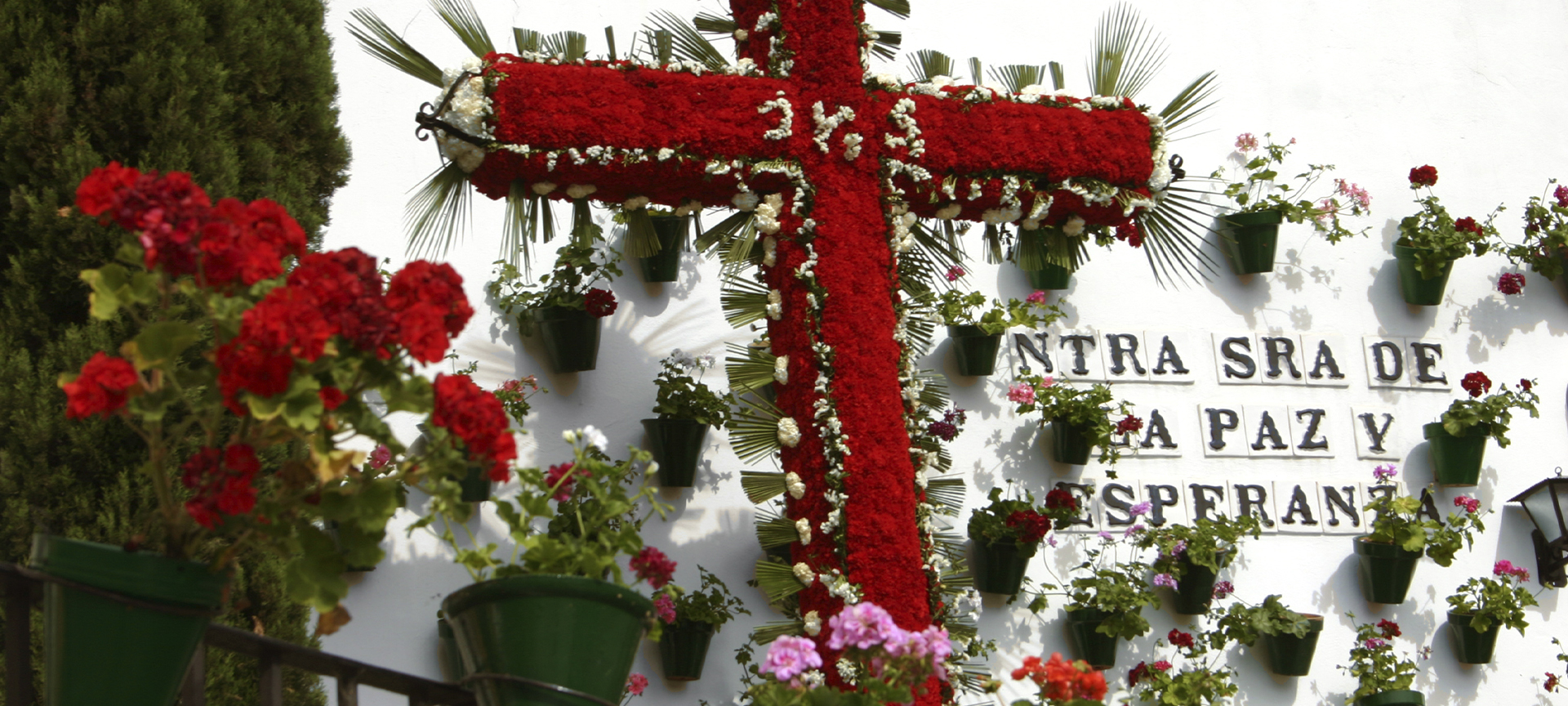 Cruces de Mayo