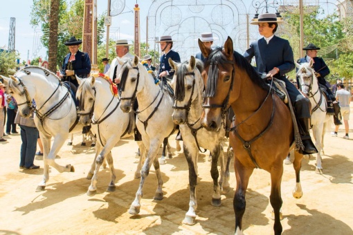 Targi koni w Jerez de la Frontera