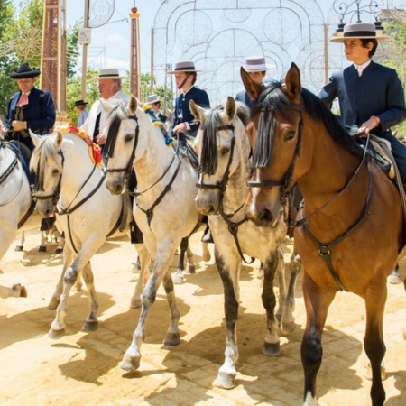 Pferdemesse von Jerez de la Frontera