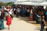 Feria de San Lucas