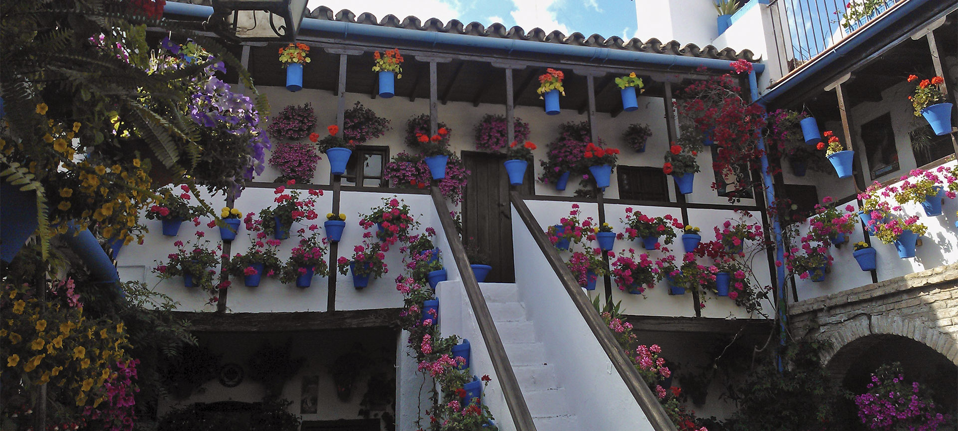 Festival de los patios cordobeses