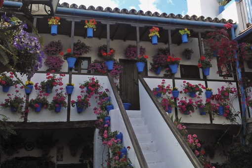 Festival of the Courtyards in Cordoba