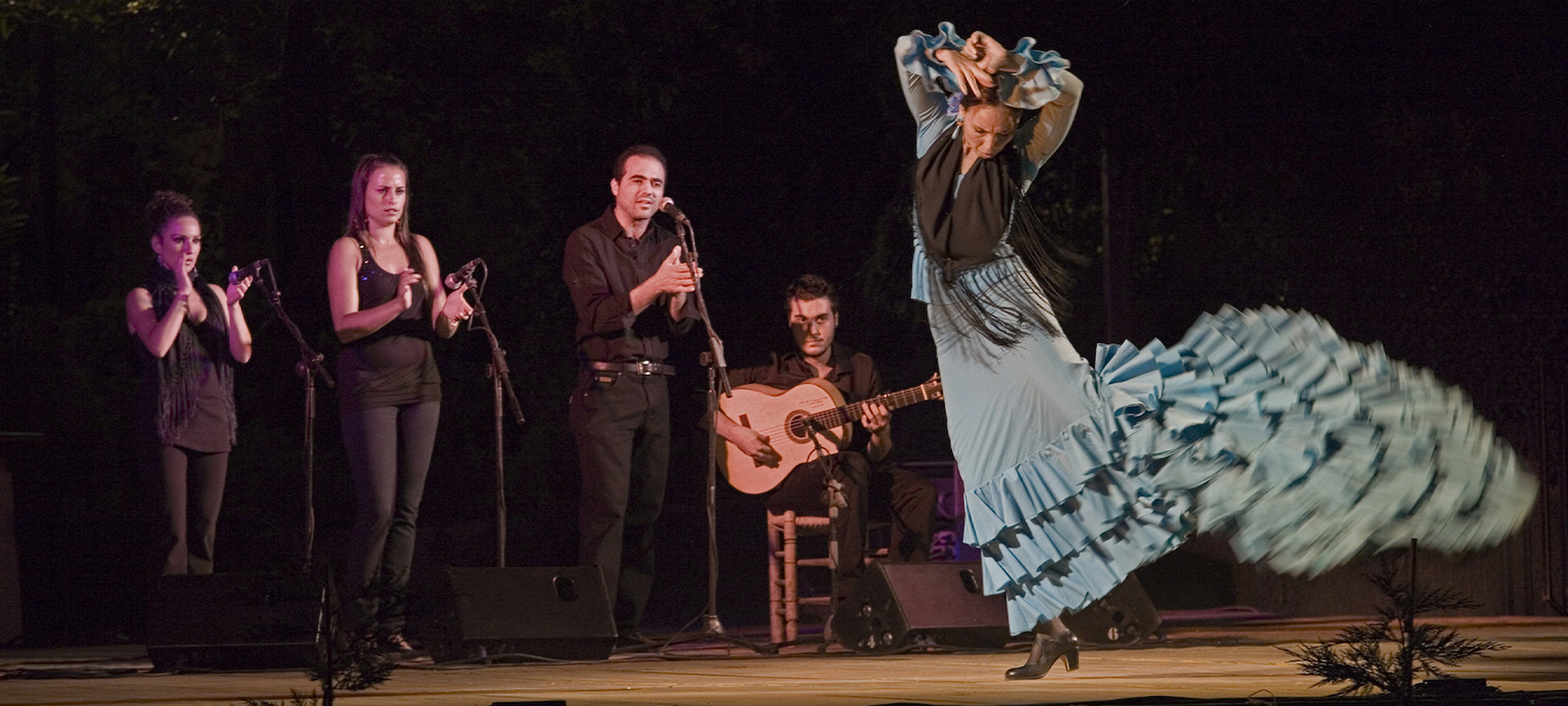 Noche blanca del flamenco