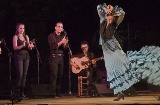 Weiße Nacht des Flamencos in Córdoba