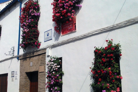 Concours populaire de grilles et balcons de Cordoue