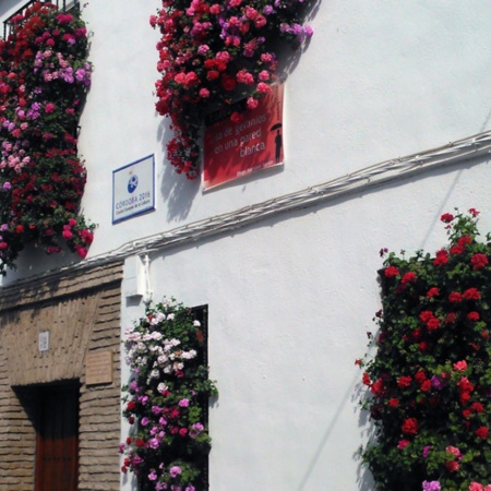 Concurso Popular de Rejas y Balcones de Córdoba