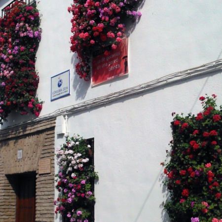 Concours populaire de grilles et balcons de Cordoue