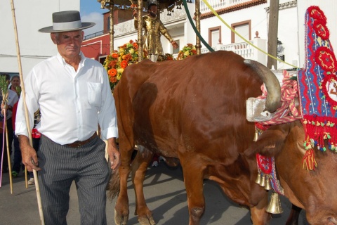 ロス・バリオスで行われる農夫サン・イシドロへの大衆巡礼 