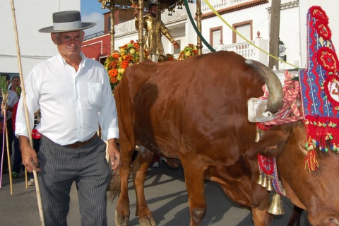 Popular procession for San Isidro Labrador in Los Barrios 