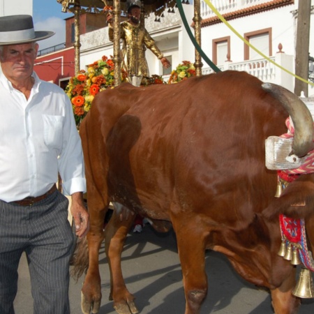 ロス・バリオスで行われる農夫サン・イシドロへの大衆巡礼
