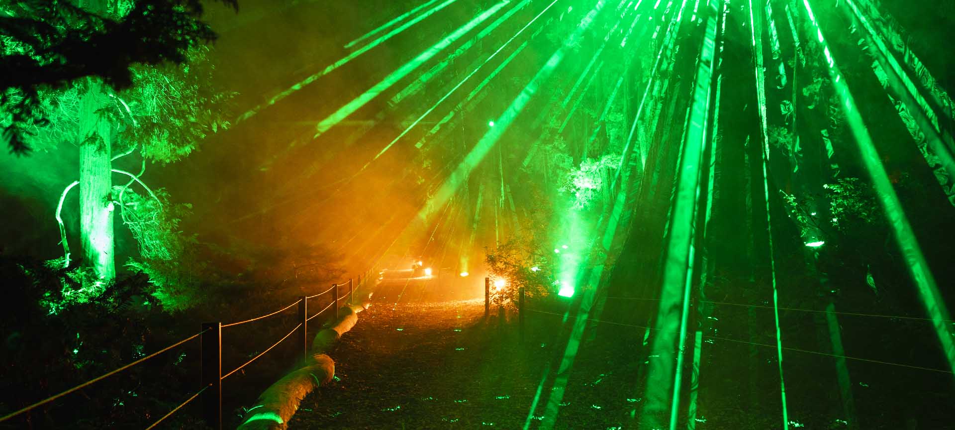 Las Luces del Botánico "Angélical". Málaga