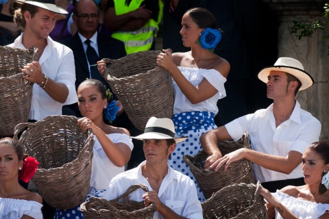 The grape harvest in Jerez