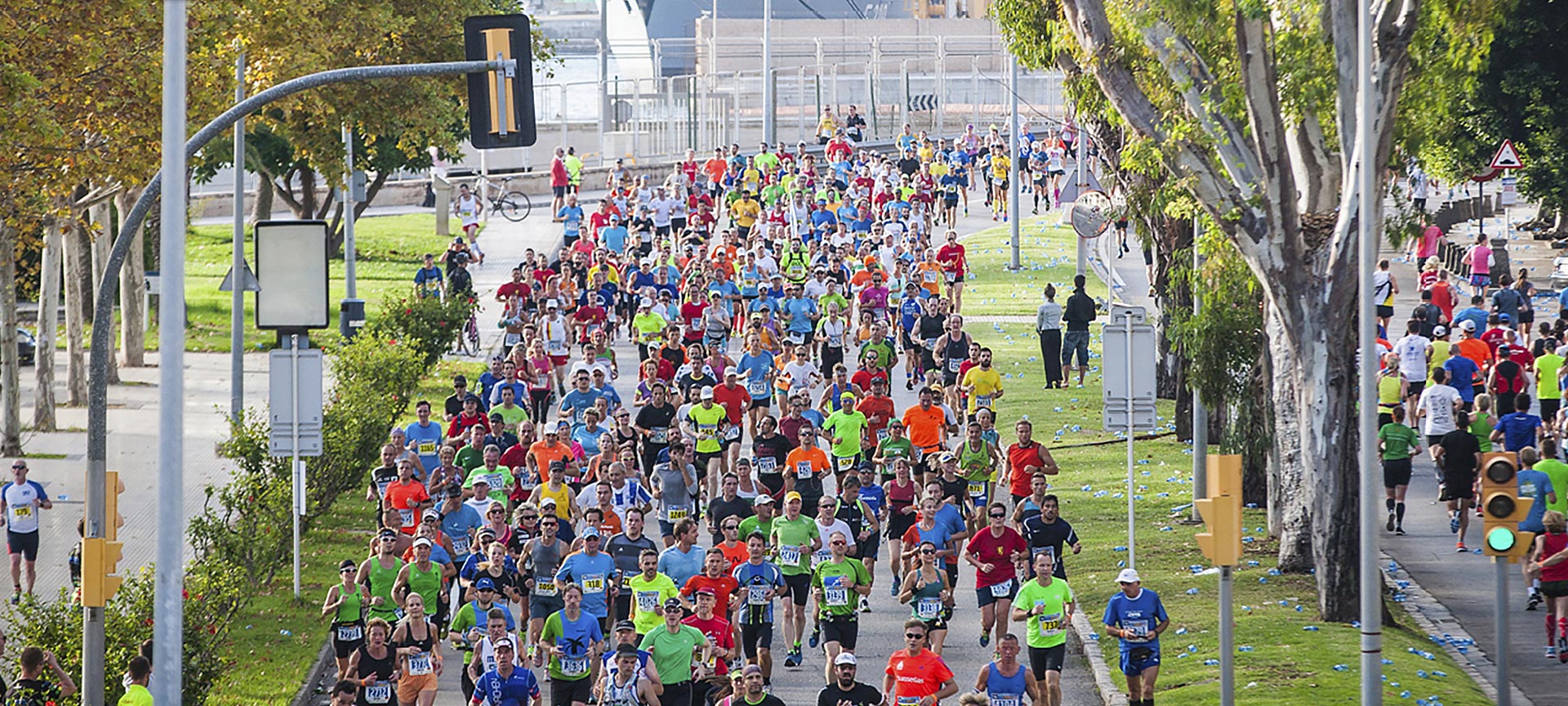 2016 Palma Marathon