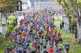 Edición 2016 del Palma Marathon