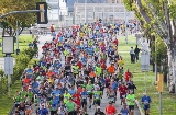 Marathon La Palma 2016.