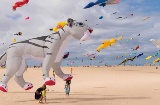 Festival Internacional de Pipas