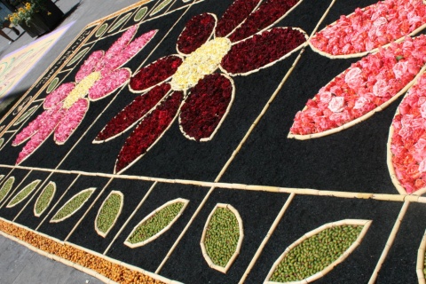 Traditional carpet of flowers for the feast of Corpus Christi in San Cristóbal de la Laguna, Tenerife.