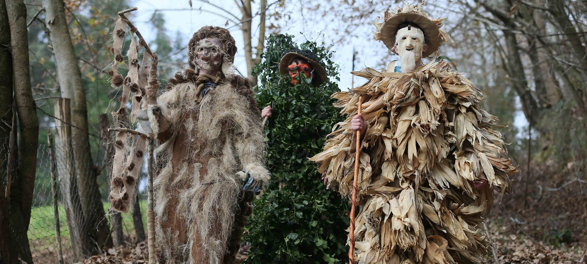 Fiestas de “La Vijanera”