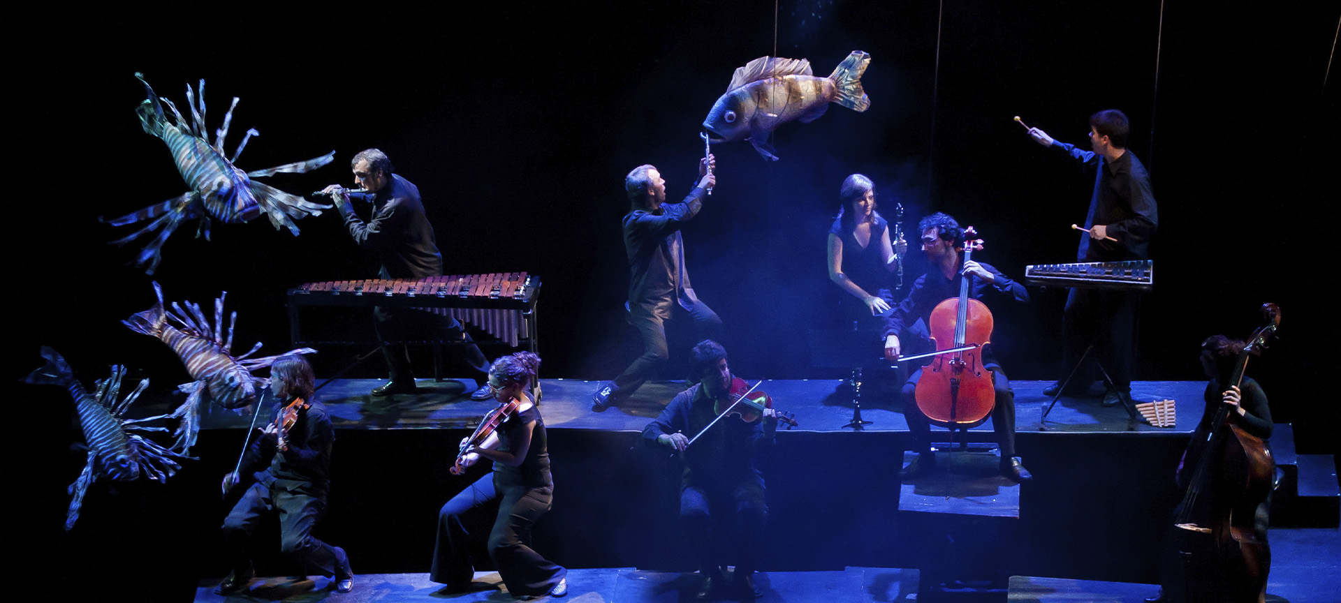 Dreaming the Carnival of the Animals, one of the productions at the 65th Santander International Festival