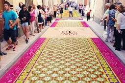 Tapis de sciure de la fête du Corpus d'Elche de la Sierra